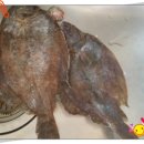 야시골협동조합 이미지