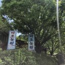 약초농원민박 이미지