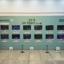 책마루작은도서관 이미지