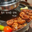 세븐일레븐 원주천사로점 | 원주 단계동 단막 : 재방문한 막창 맛집 내돈내산 후기(웨이팅, 파막창)