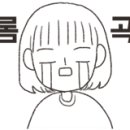 성운레코드 이미지