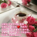 사랑커피