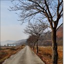 마을회관 앞 이미지