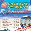 보성오토