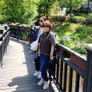 ☆ 불암산 나비정원, 철쭉동산, 둘레길걷기 이모저모!!! 이미지