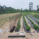 망경철물 이미지