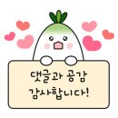 비소(보람)-호-4 | 부산 민락동 맛집 "호네" 광안리 숯불생선구이와 고시히카리 솥밥!