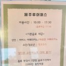 제주 중문 카페 디저트 맛집 추천, 제주도 돌담 닮은 돌카롱, 중문점 방문후기.(ft. 녹차밭 힐링)