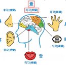 사라의시간피부앤바디연구소 네이버블로그