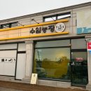 몸사랑농장 | 남양주 파충류샵 수염농장에서 희귀여운 도마뱀 분양받아오기