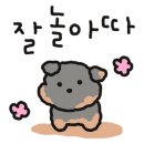 감포 바다 앞 민박 이미지