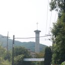 양지-13 이미지