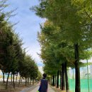 행복한보습학원 | 경시대회가 처음인 아이 어쩌다 성대경시 보고 온 후기(+준비과정)