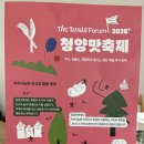 2026 청양맛축제 후기 청양 아이랑 가볼만한곳 첫 개최 솔직리뷰
