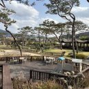 카페 무 이미지