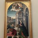 사성공원 | 패스트트랙 예약 : 바티칸미술관 관람순서 핵심작품 유로자전거나라 상세후기 바티칸박물관 한국인가이드