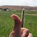 (주)빙키 이미지