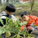 🤍배려반🤍 으랏차차 가을무뽑기&가을길걷기 이미지