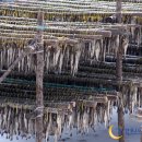 대관령중학교 이미지