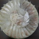 대구교육정보원 이미지