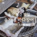 송가네바다장어