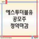 더블유더블에스 | 공모주 에스투더블유 청약마감, 오랜만에 공모주인데 과연?