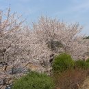 안산 와동체육관 이미지