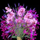 멋진 하루 이미지