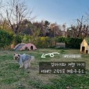 씨유 약수화물차휴게소점 | 서해안고속도로 매송휴게소(목포 방향) 반려견놀이터