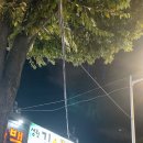 성원김초밥