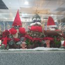 나홀로짐 침산점 | 노랑풍선 대만 나홀로 패키지여행 미슐랭 먹방여행 마지막 총정리