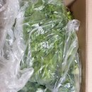 영채농장 이미지