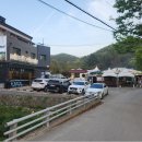 수리산두꺼비 네이버블로그