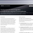 Tempus&Company 이미지