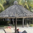 호호당구장 | 2월 뗏기간 나트랑 여행 - 나트랑 5성급 호텔 아미아나 리조트 나트랑 가든뷰 패밀리룸 빌딩 부대시설...