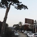 노송식당 Daum카페