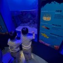 생태세상 | 시흥 해양생태과학관, 무발화 쌍둥이와 함께 바닷속 세상 탐험!