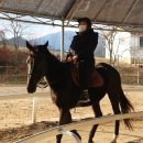 순천승마장 | 순천농촌치유여행_순천승마장&amp;순천 미듬팜