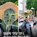 蓮잎 mask 이미지
