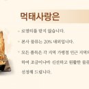 먹태와호프 네이버블로그