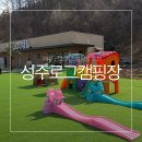 성주제일주유소 | 경북 성주 캠핑장 대구 근교 키즈 캠핑장 ㅣ성주로그캠핑장