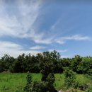 안성리복지회관 이미지