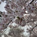 아구대통령 이미지