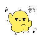 블루샥포항 - 포항시 남구 효성로 27-1 | 블루샥포항
