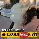버드나무자동차공업사 | [서산 아이와 가볼 만한 곳] 아이들과 서산버드랜드 완벽 정복기! (다자녀 무료입장 꿀팁)