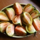 그린대저토마토