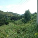 축동주유소 이미지