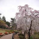 호텔영일대 이미지