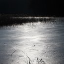 꿈꾸는강 이미지