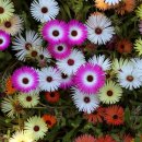 칼럼 쓰기 이미지